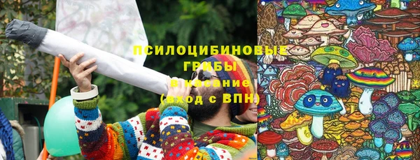 стафф Гусь-Хрустальный