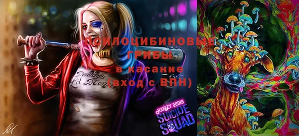 каннабис Гусев