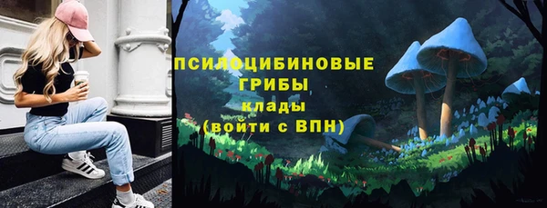 стафф Гусь-Хрустальный