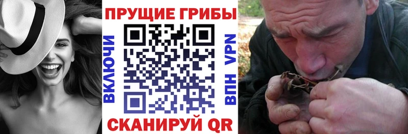 Галлюциногенные грибы мухоморы  где купить наркоту  Ворсма 